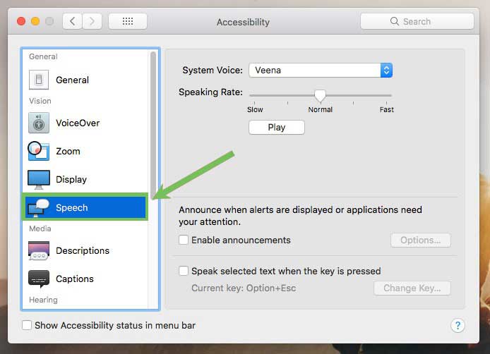 Tips: How to Use Speak Selection on Mac? - Soldrit