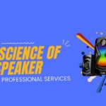 The Science of Speaker Repair DIY vs Professional Services