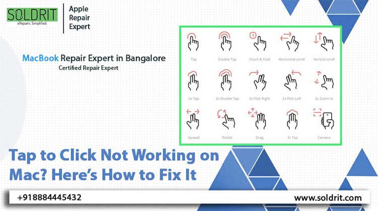 tap-to-click-not-working-on-mac-heres-how-to-fix-it